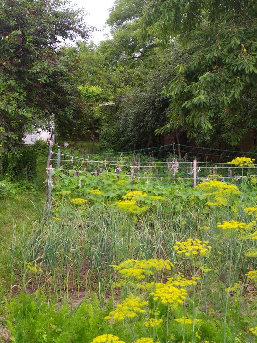 Продам уютный дом!!!