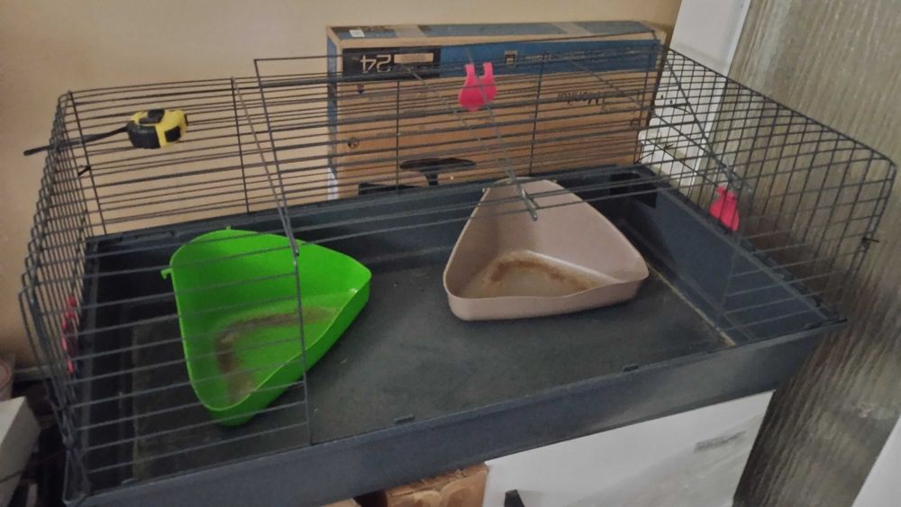 Klatka dla świnki morskiej, królika