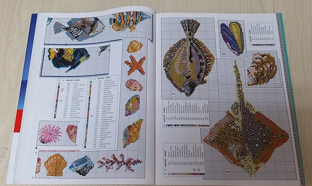 Revista Agulha de Ouro.