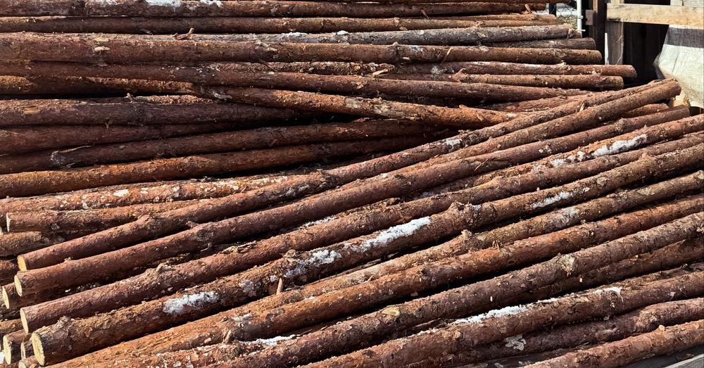 Stemple budowlane drewniane- długość 3m