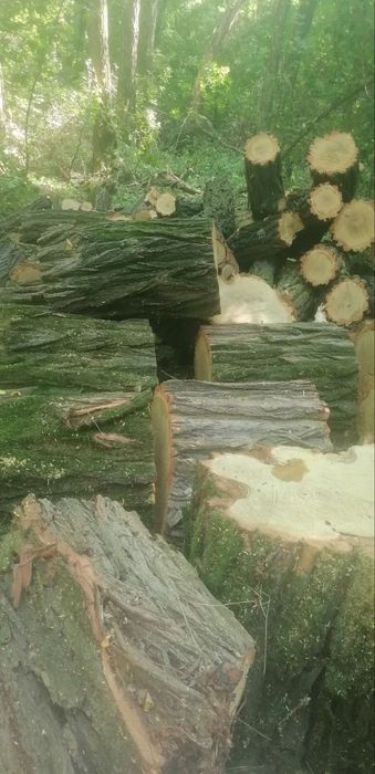 Продам бревна недорого