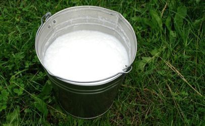 Mleko krowie świeże i smaczne