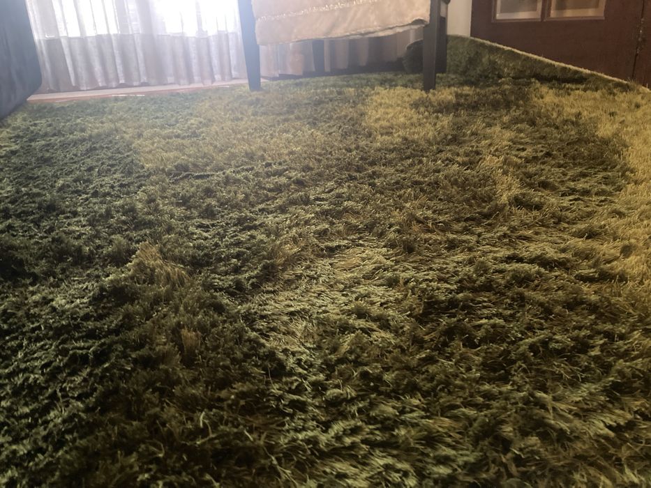Carpete usada em muito bom estado. Verde musgo. Pelo fofinho.