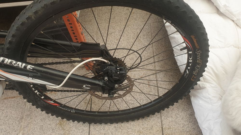 Vendo Cannodale rush carbono
