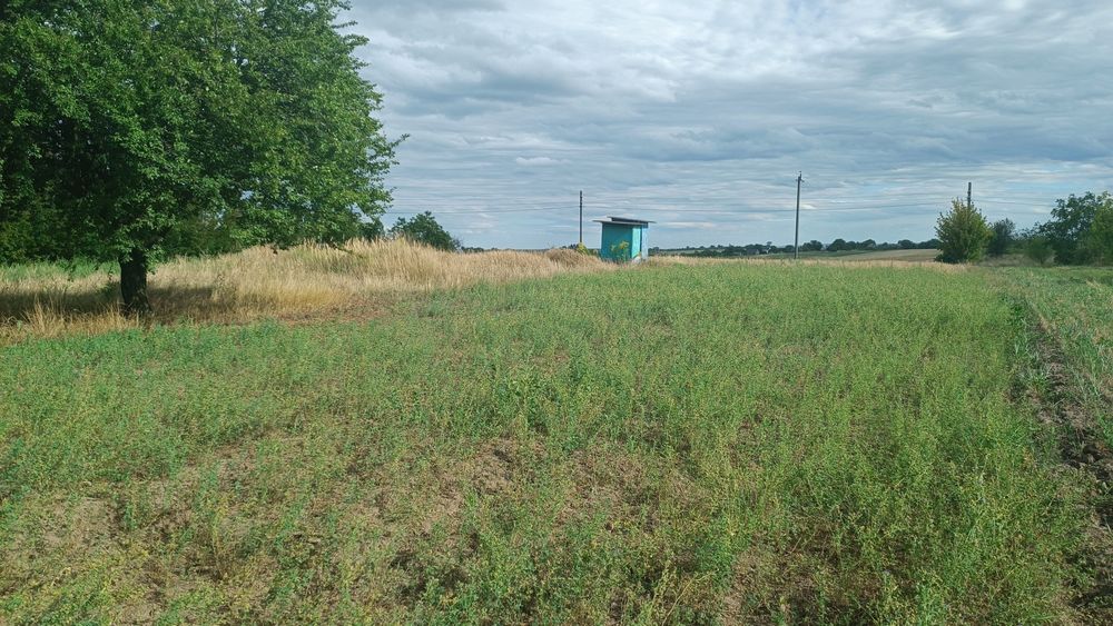 Продаж земельної ділянки в с. Промінь, Луцького району