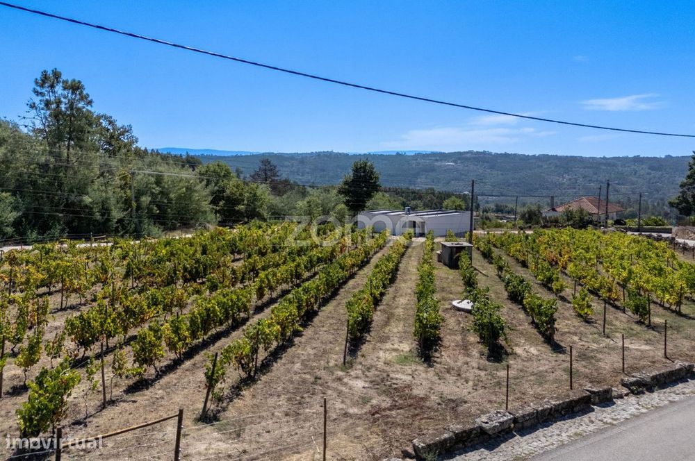 Casa T3 com piscina e vinha em Penalva do Castelo