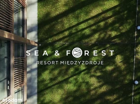 Forest Międzyzdroje | Promocja! | B.4.187 – pohled 5