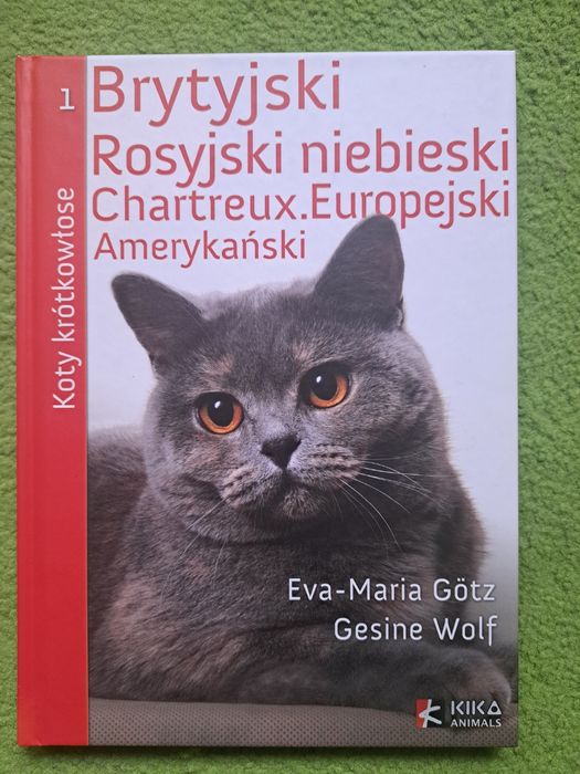 NOWA Koty krótkowłose