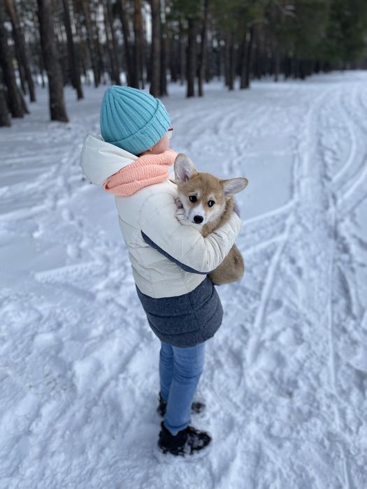 Малюки Вельш Корг
