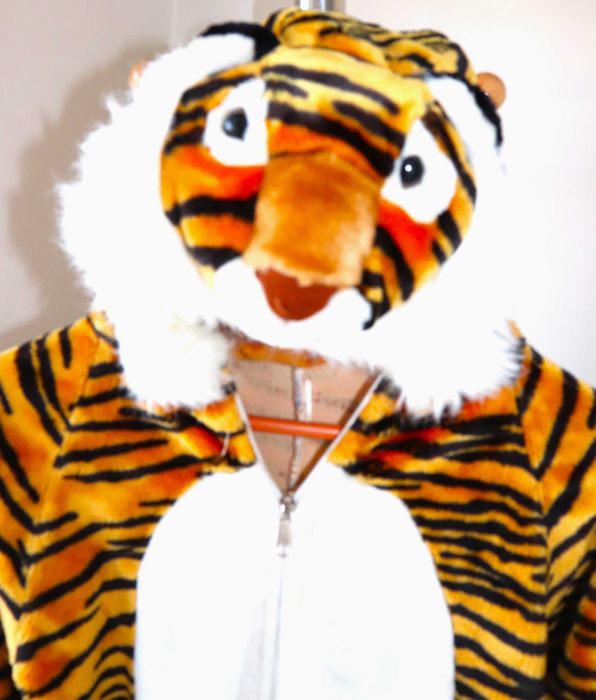 Fato de Carnaval Tigre