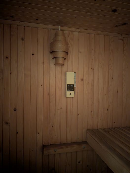 Sauna  2 moejsca leżące