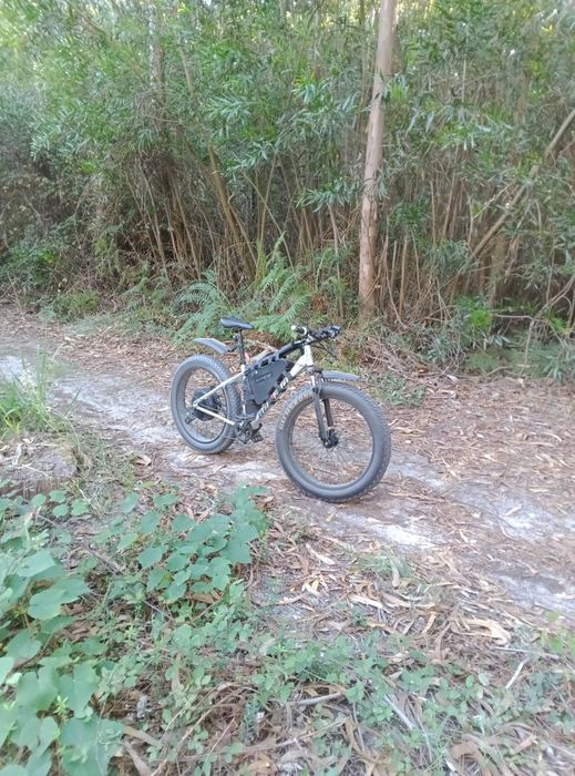 Bicicleta elétrica 26/4.0
