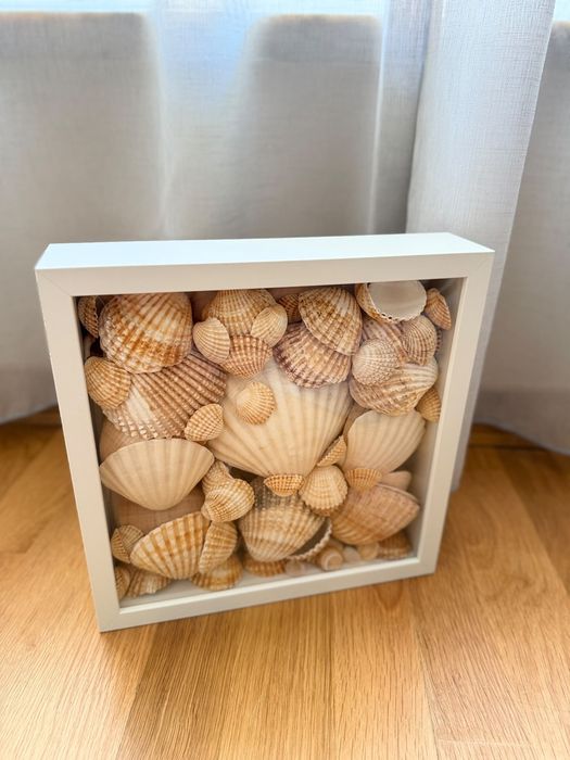 Quadro cheio ce conchas