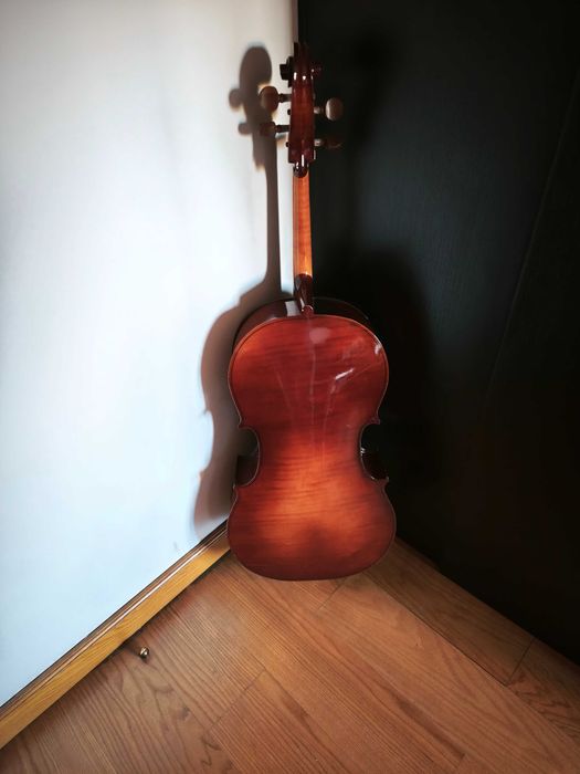 Vários Violoncelos Hofner, Carlo Giordano, Kreutzer, Palatino, etc
