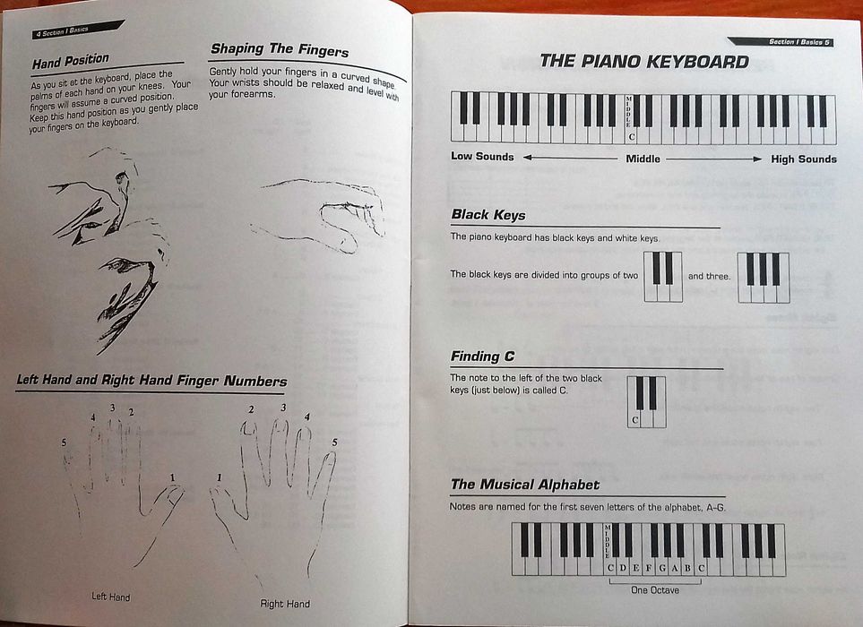 Cavalier e Steelman. Keyboard Basics Beginner Series Grande Incl porte