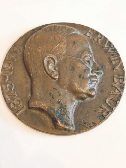 Przedwojenny medal artystyczny ERWIN BAUR 1875–1935 Brąz 301g Duży format Original Bronze Medaille Erwin Baur