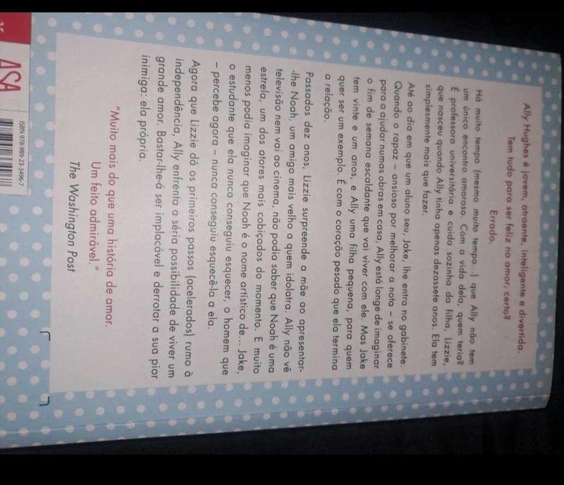 Livro "A vida (pouco) romântica de Ally Huges"