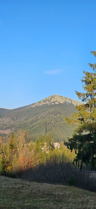 Земельна ділянка в Поляниці, 10 хв до витягів, краєвид на Хом'як