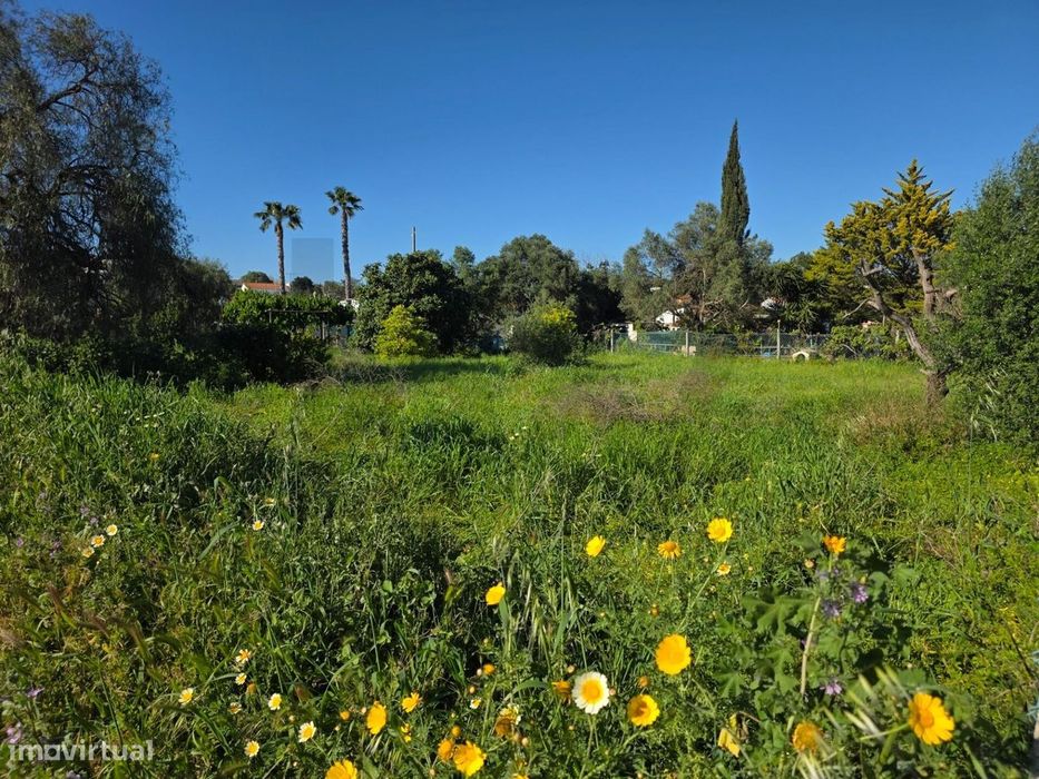 Terreno Urbano para Construção em Alcantarilha Gare