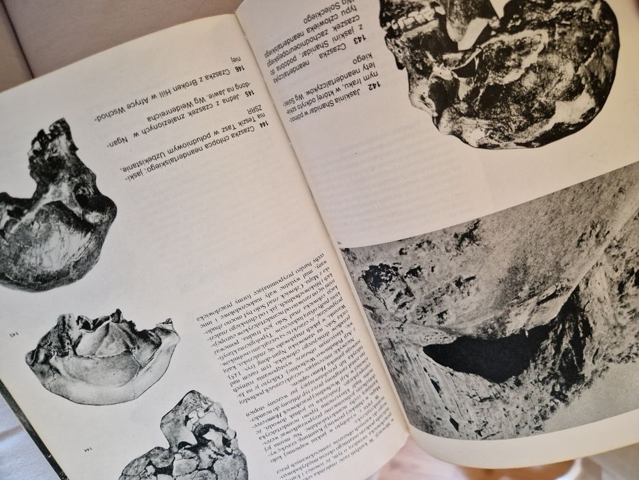 Atlas prahistorii człowieka - J. Jelinek