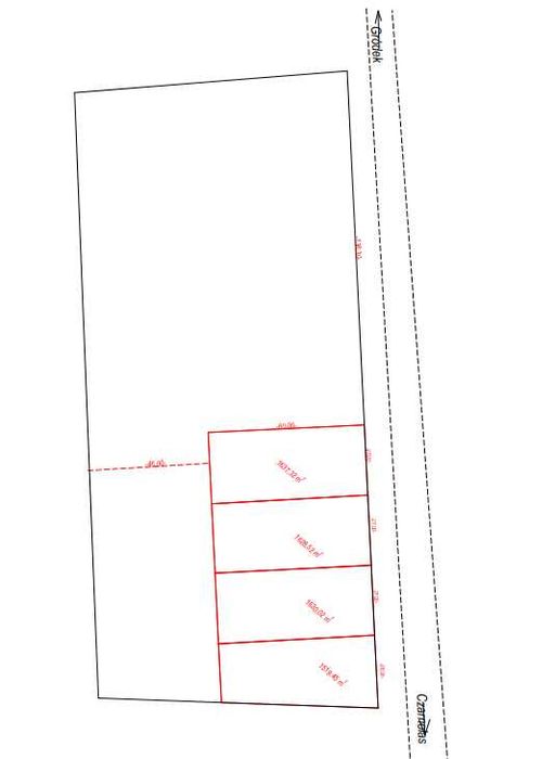 Czarnolas-Kolonia - Działka 2,5 ha na sprzedaż - Bezpośrednio - Widok 4