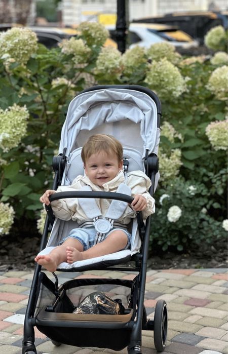 Прогулянкова коляска Cybex Beezy 2024