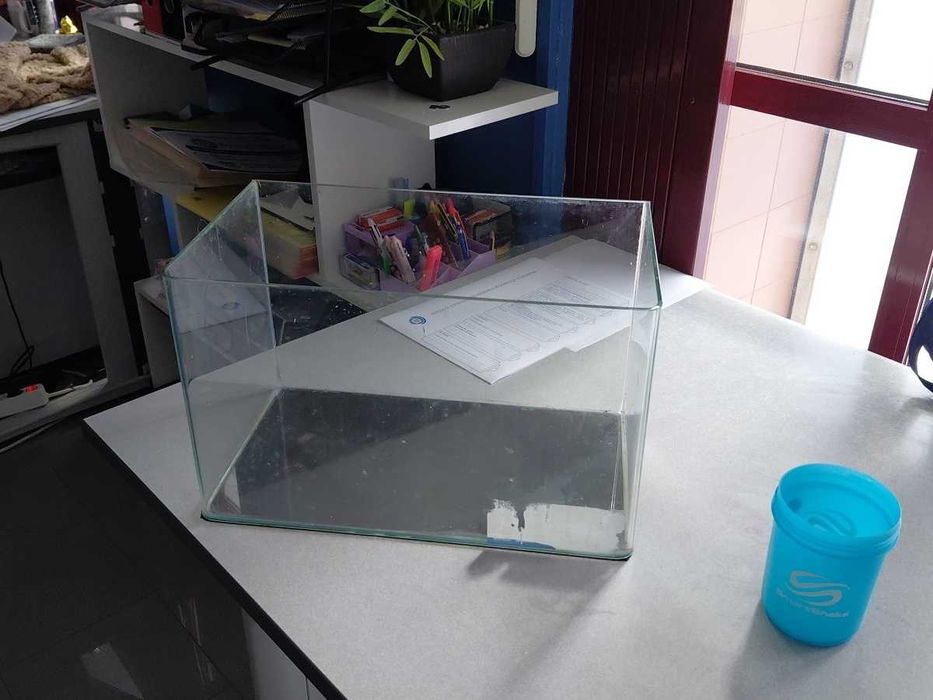 Aquario semi novo