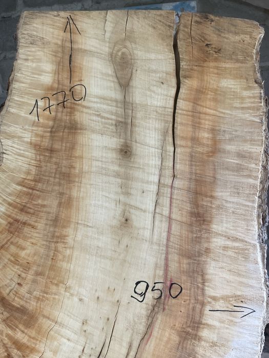 Капы тополя, клена вяза дуба ясеня