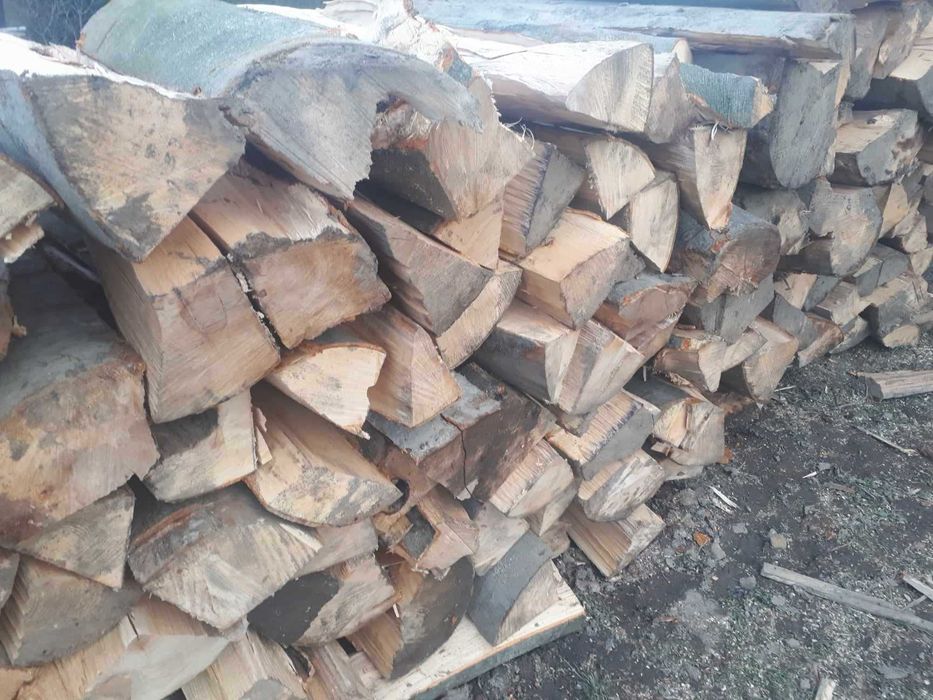 drewno kominkowe BUK