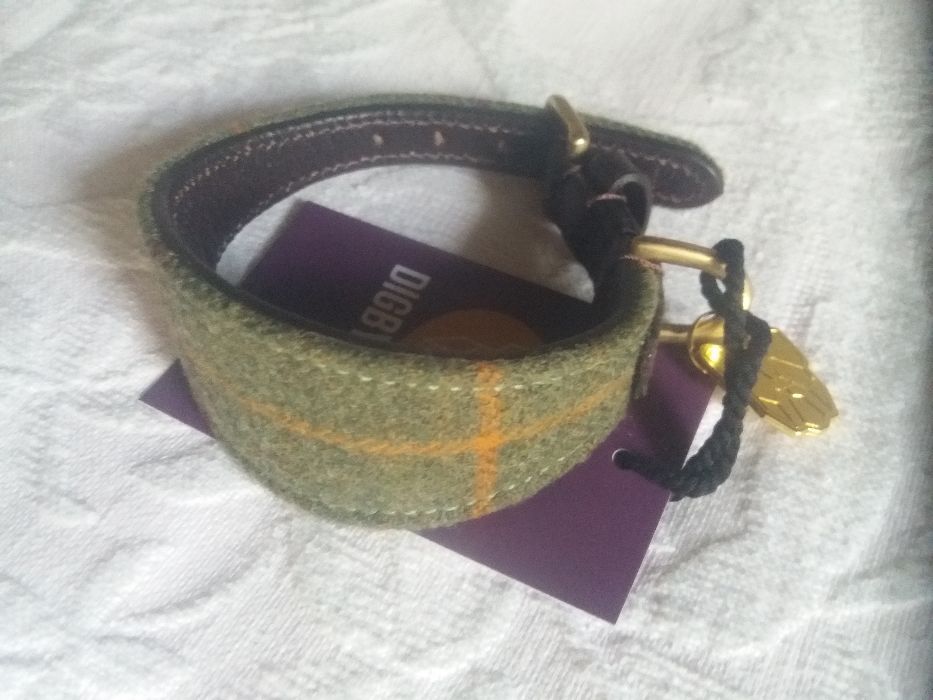 Coleira para cão de pequeno porte