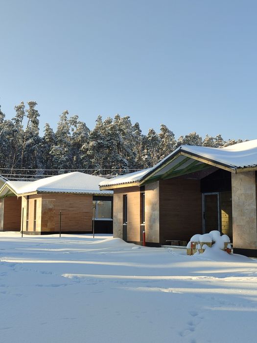 Якісний просторий будинок з газом біля лісу без %