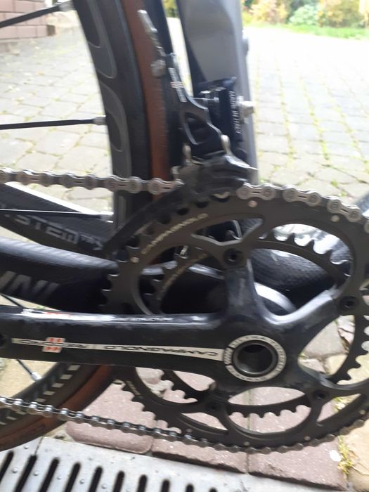 Cipollini Bond  Roz 54