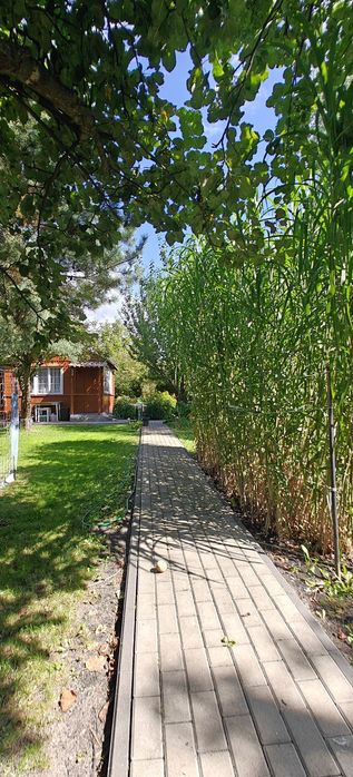 Zielona Oaza blisko Centrum! Zadbana Działka ROD „Kaczeniec” w Ząbkach – 380 m² - Widok 5
