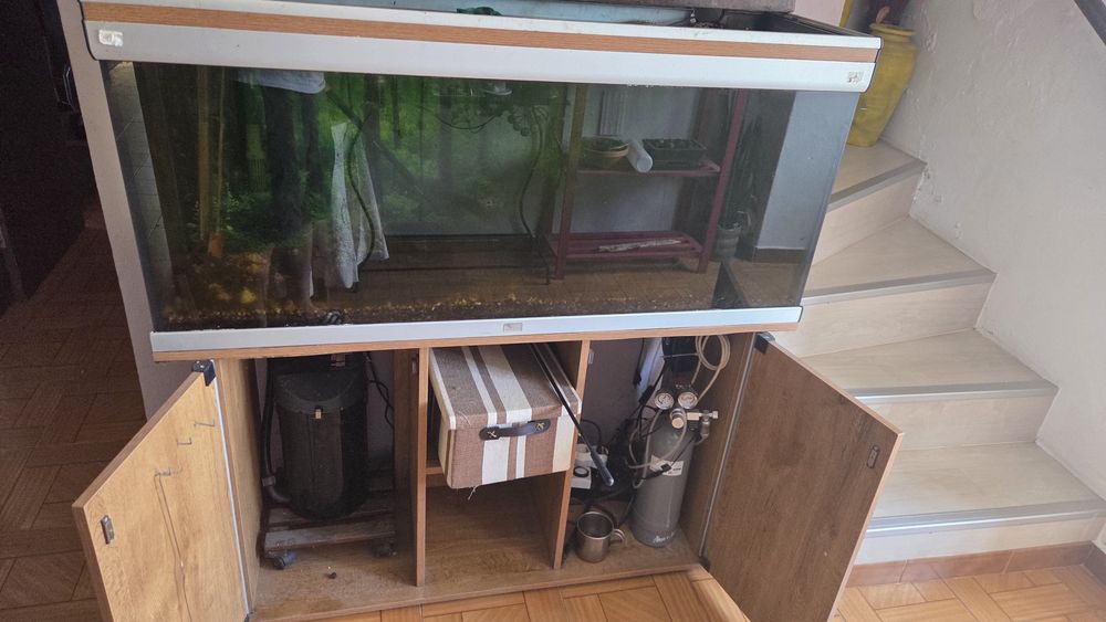 Aquario e movel com filtro e cilindro de CO2 INCLUIDO
