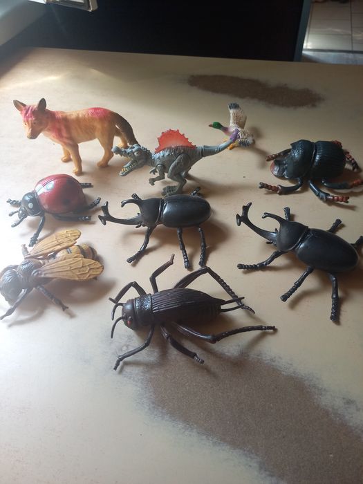 Figurki owadów i  inne
