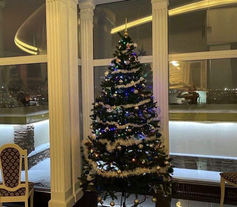 Дуже гарна  лита ялиночка