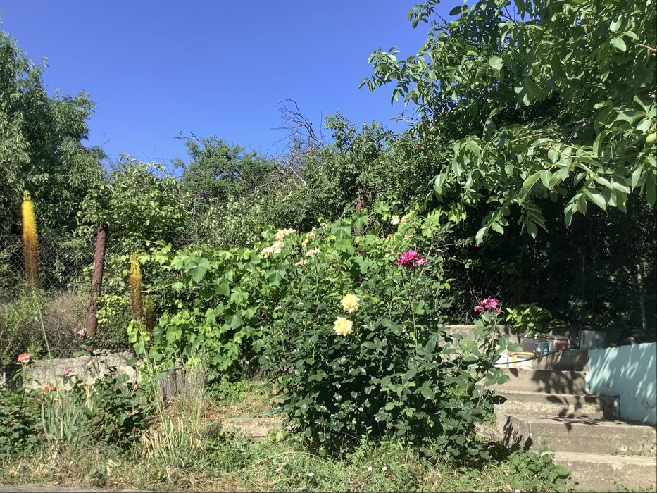 Продам дом -дачу у воды.