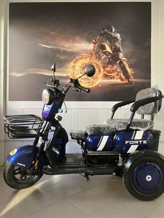 Електричний трицикл Forte Family WN1060
