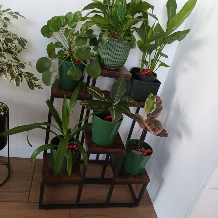 Kwietnik metalowy, 6 półek, czarny + postarzany dąb, styl loft, 67 cm