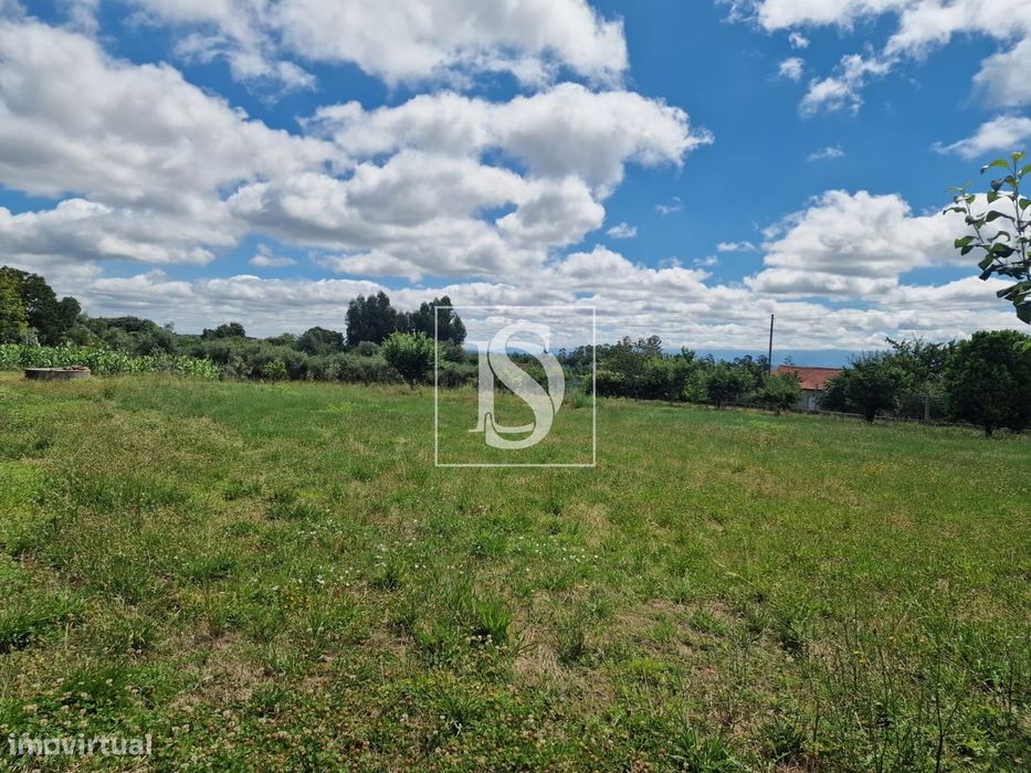 Terreno  Venda em Mouraz e Vila Nova da Rainha,Tondela — Mouraz E Vila Nova Da Rainha, Viseu