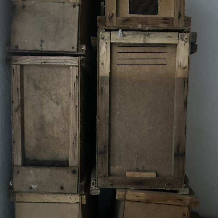 Улій, вулики, улики, вулик, улії для бджіл, пасіка короби