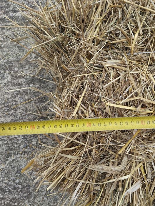 Słoma słoma w kostkach