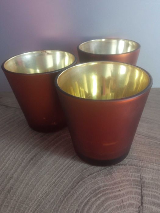 Szklane osłonki na sukulenty