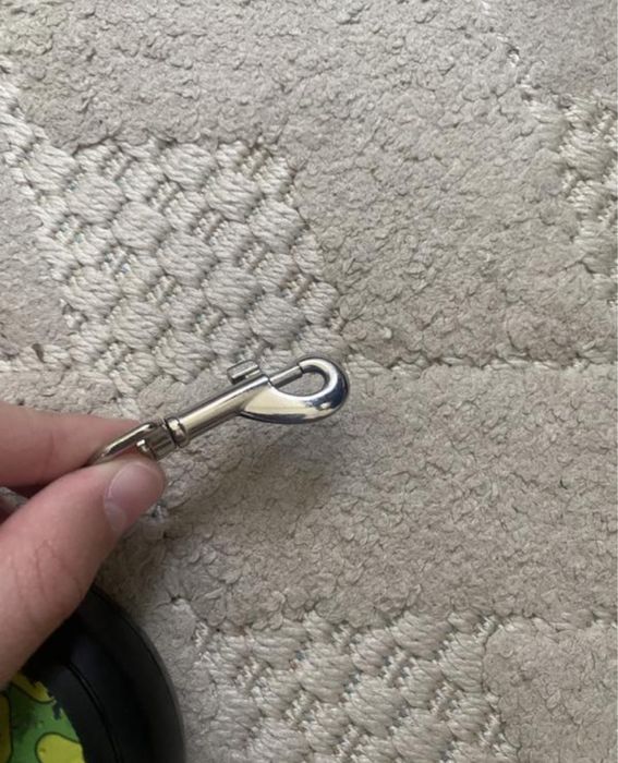 Набір Wau Dog:рулетка+повідець з принтом авакадо