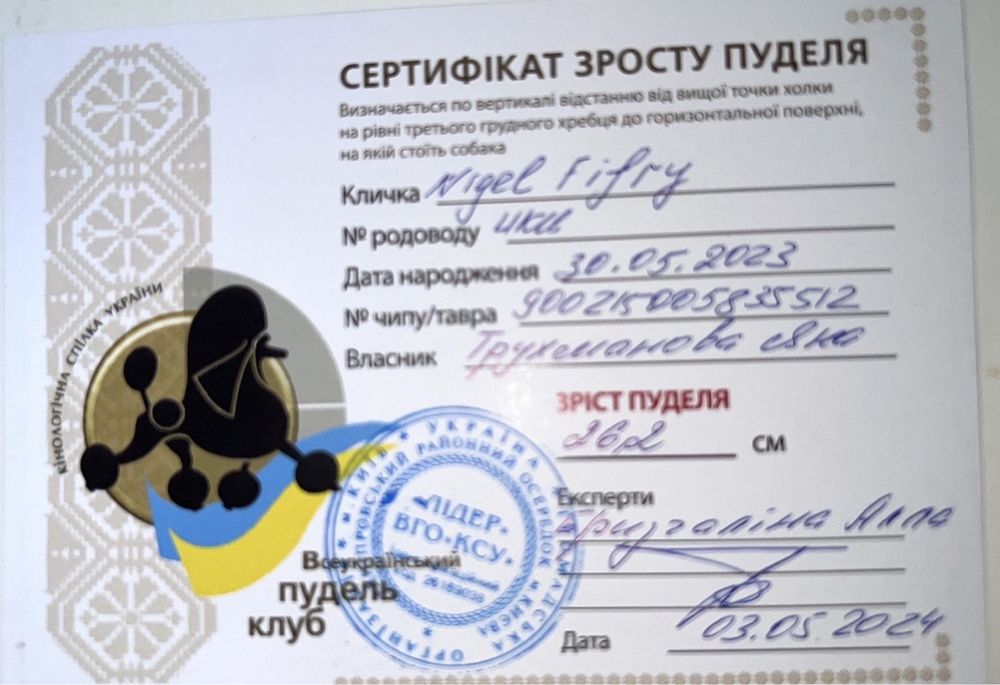 Вязка той пудель КСУ(FCI) 26cm сертифікат
