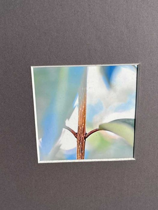 fotografia contemporanea