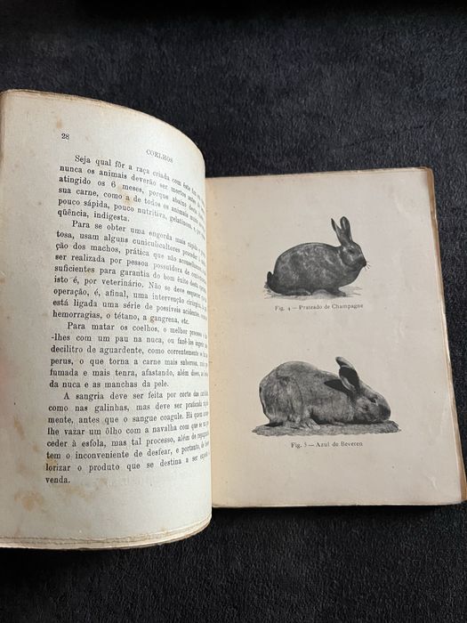 Livro Coelhos Dr. A.Jacinto Pereira 1942