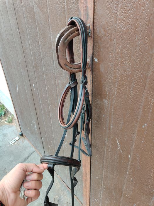 Ogłowie Prestige brązowe full