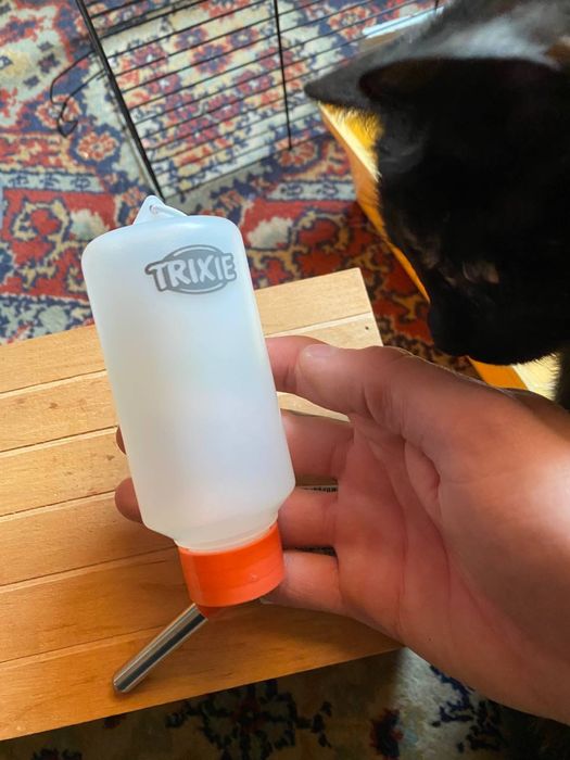 клетка для грызуна, домика, поилка все за 300 грн