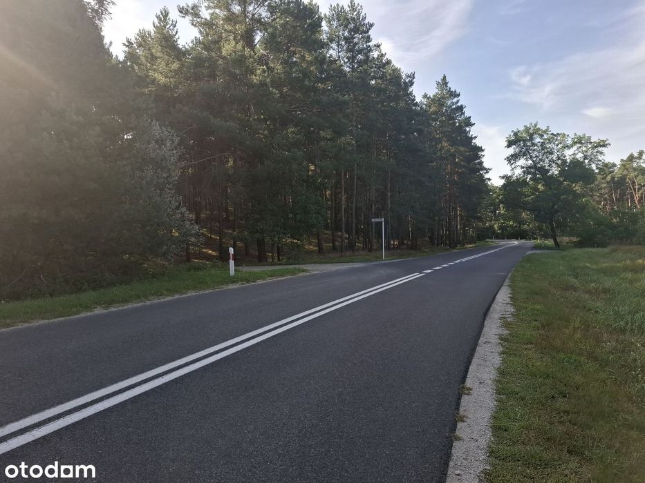 Trzykolne Młyny, 1 i 2 linia linia zabudowy od lasu, MPZP, - Widok 4